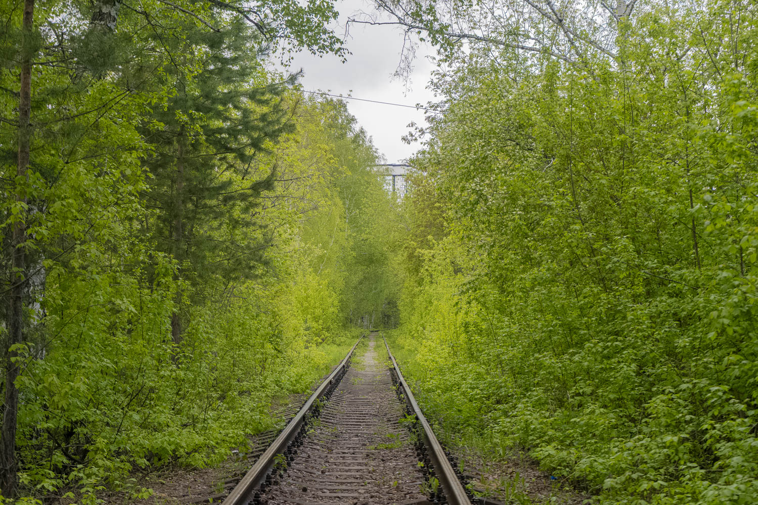 Западно-Сибирская железная дорога &mdash; Подъездные пути