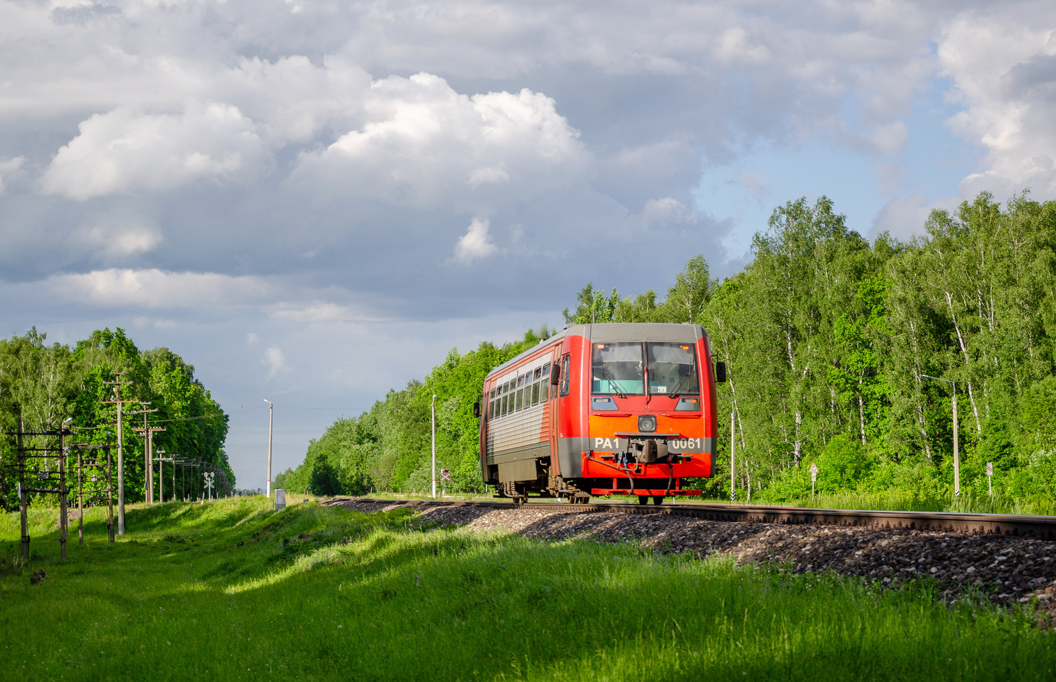 РА1-0061
