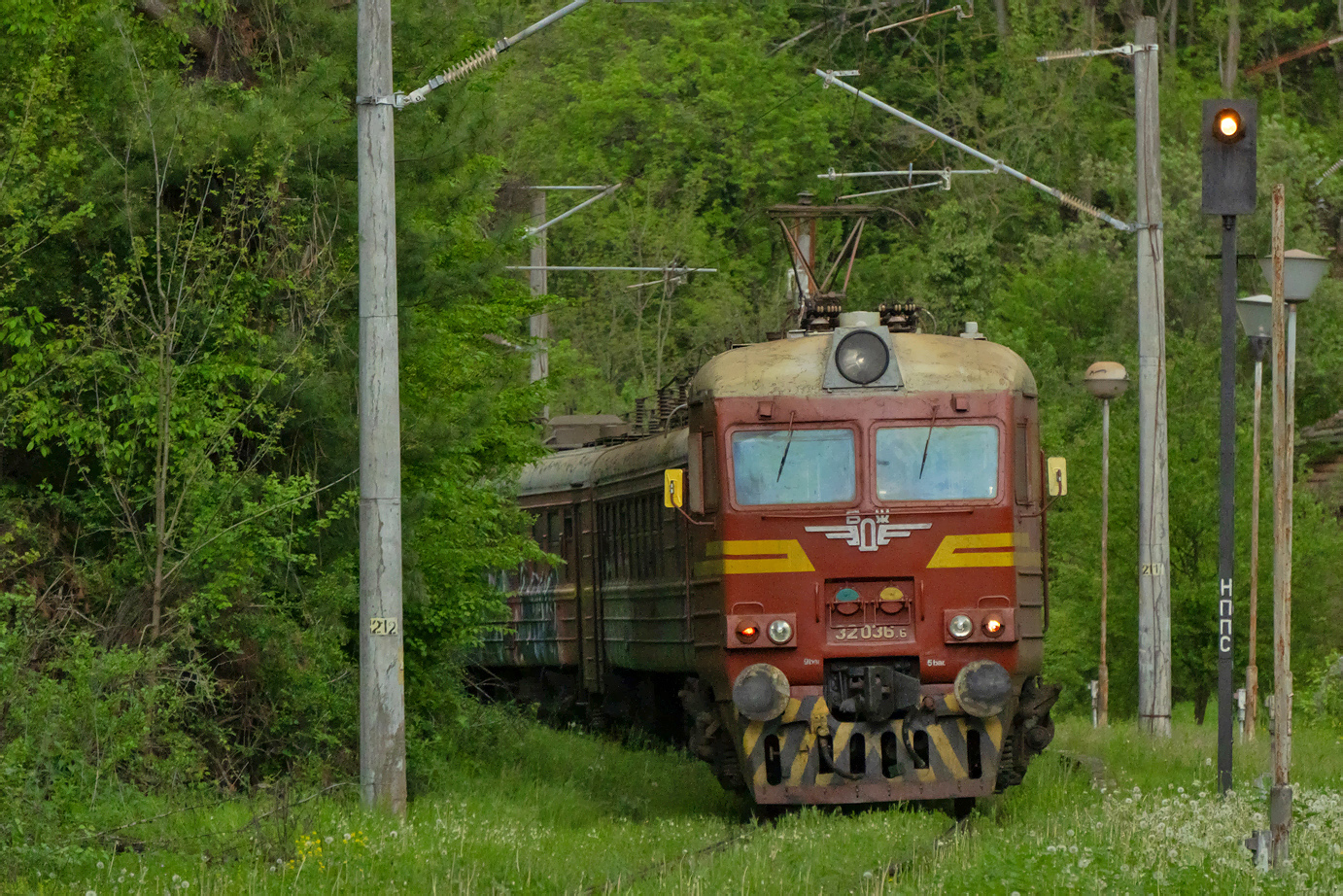 32 036