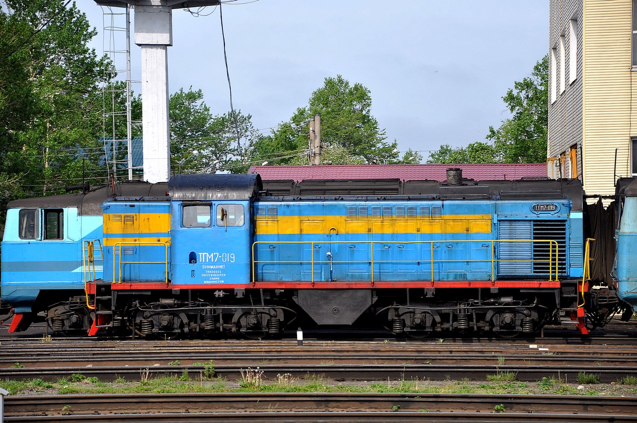 ТГМ7-019
