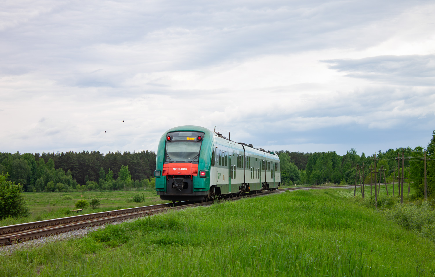 ДП3-005