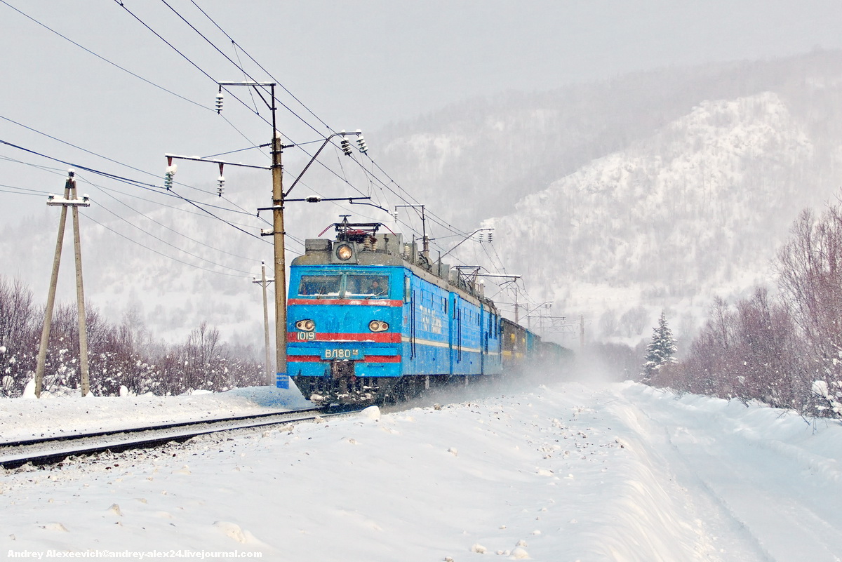 ВЛ80ТК-1019