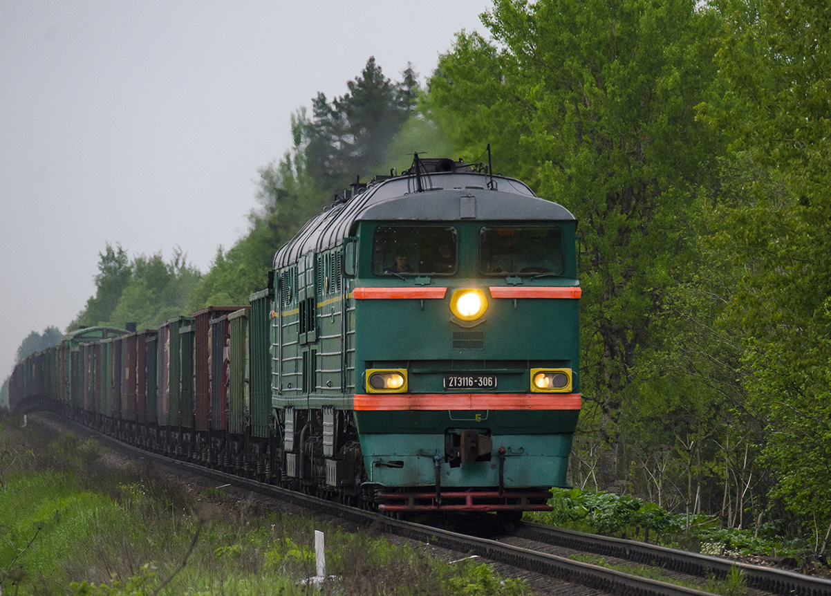2ТЭ116-306
