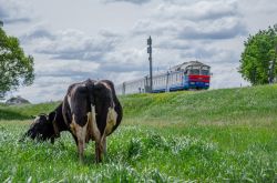 681 КБ