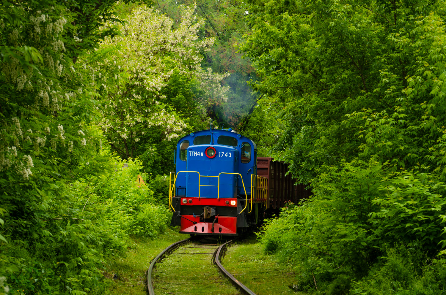 ТГМ4-1743