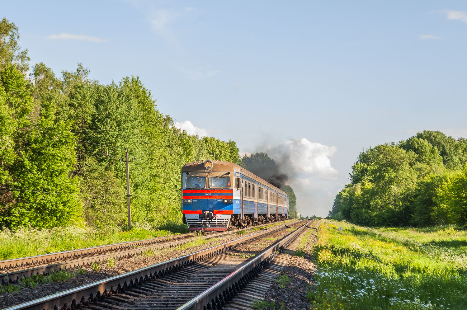 ДДБ1-006