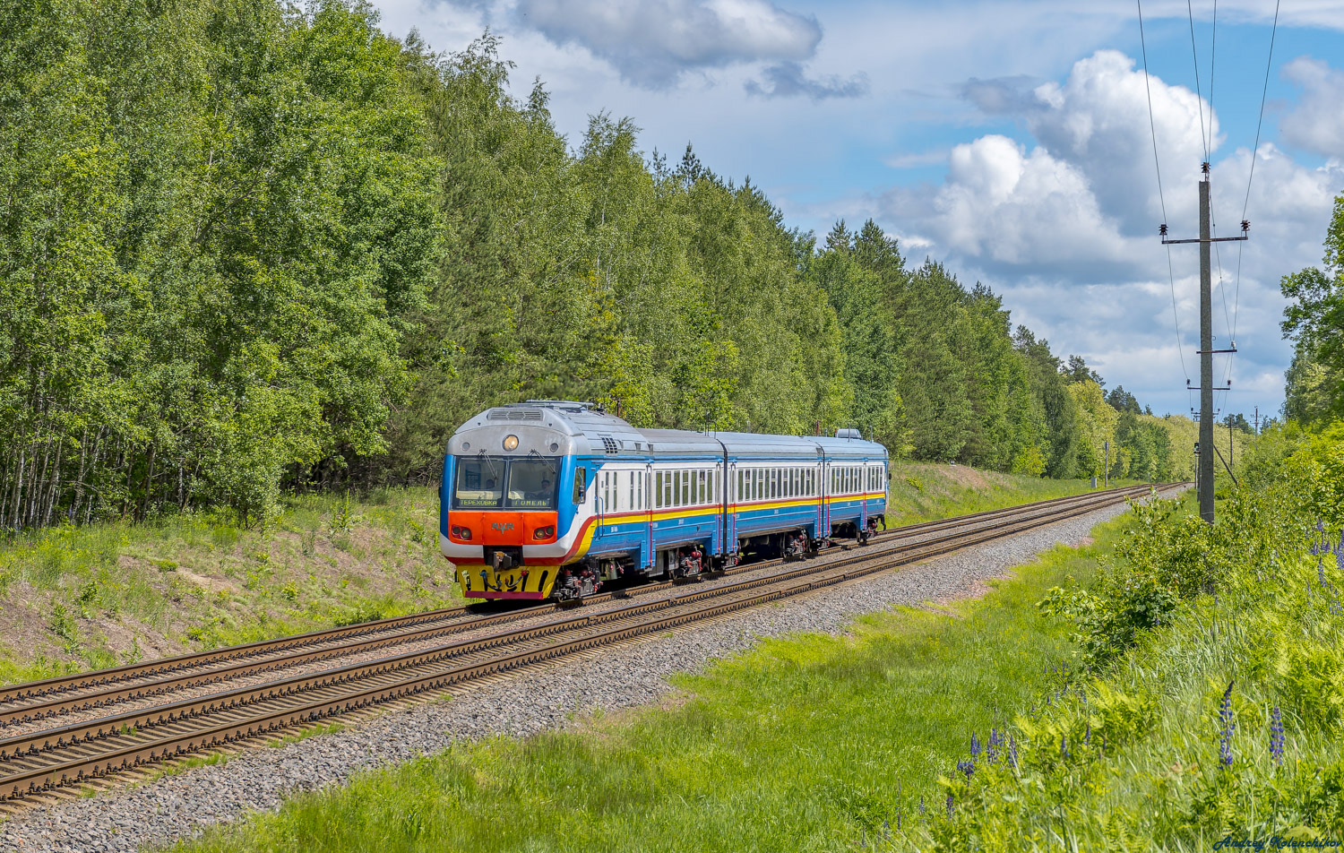 ДР1Б-507