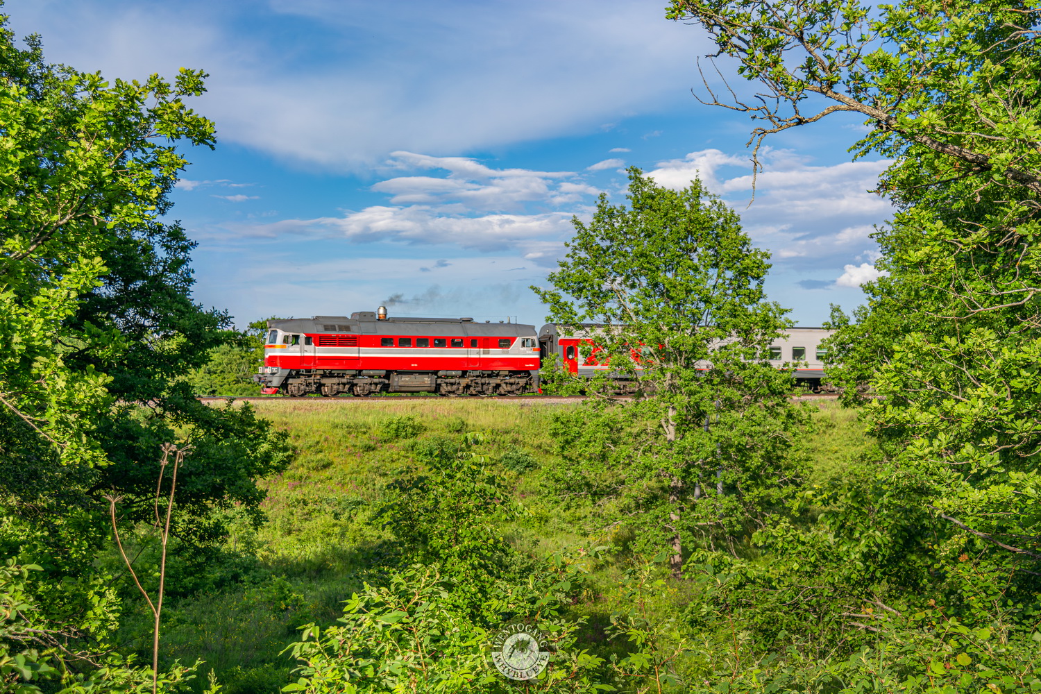ДМ62-1770