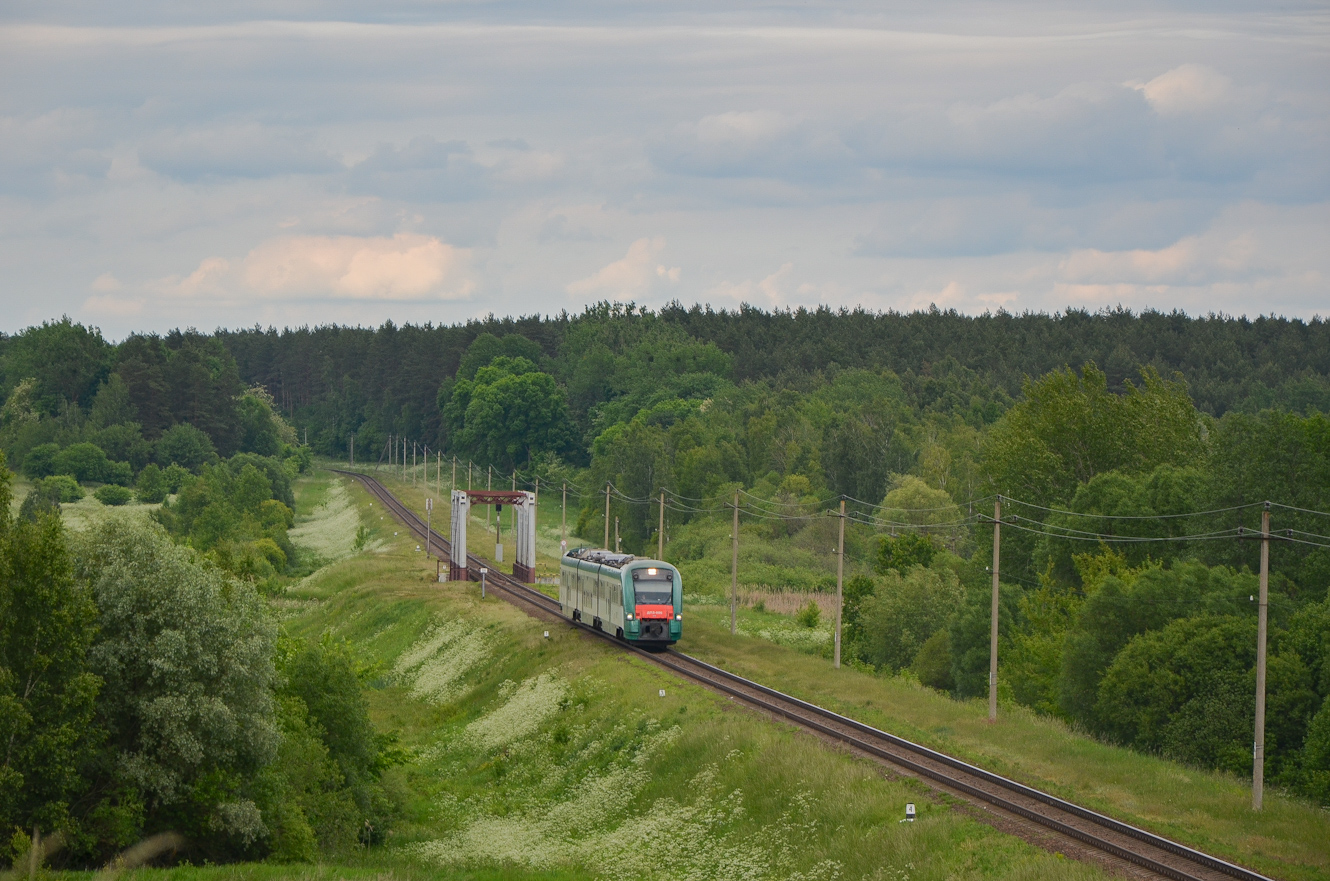 ДП3-006