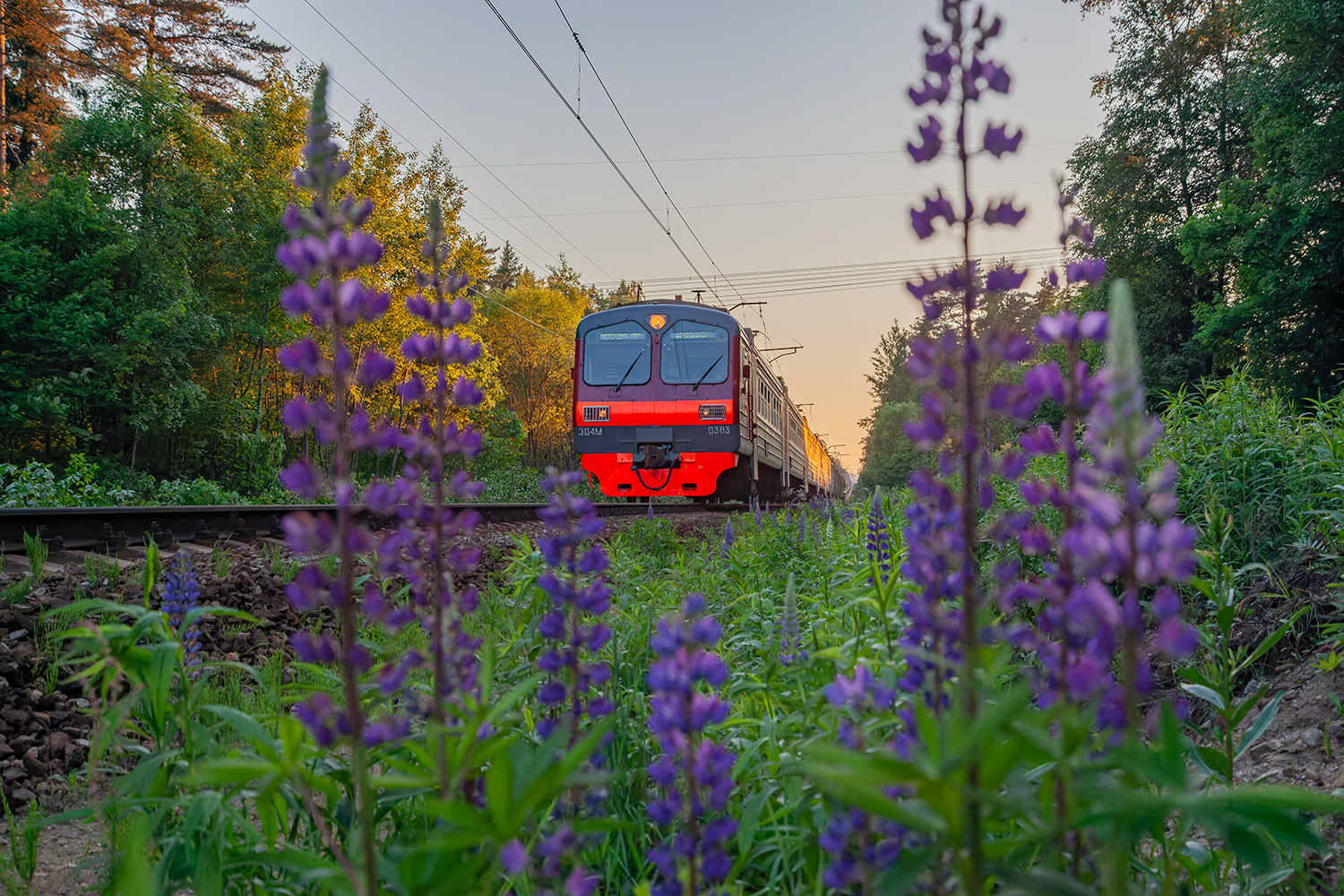 ЭД4М-0383; Фотозарисовки (Московская железная дорога)