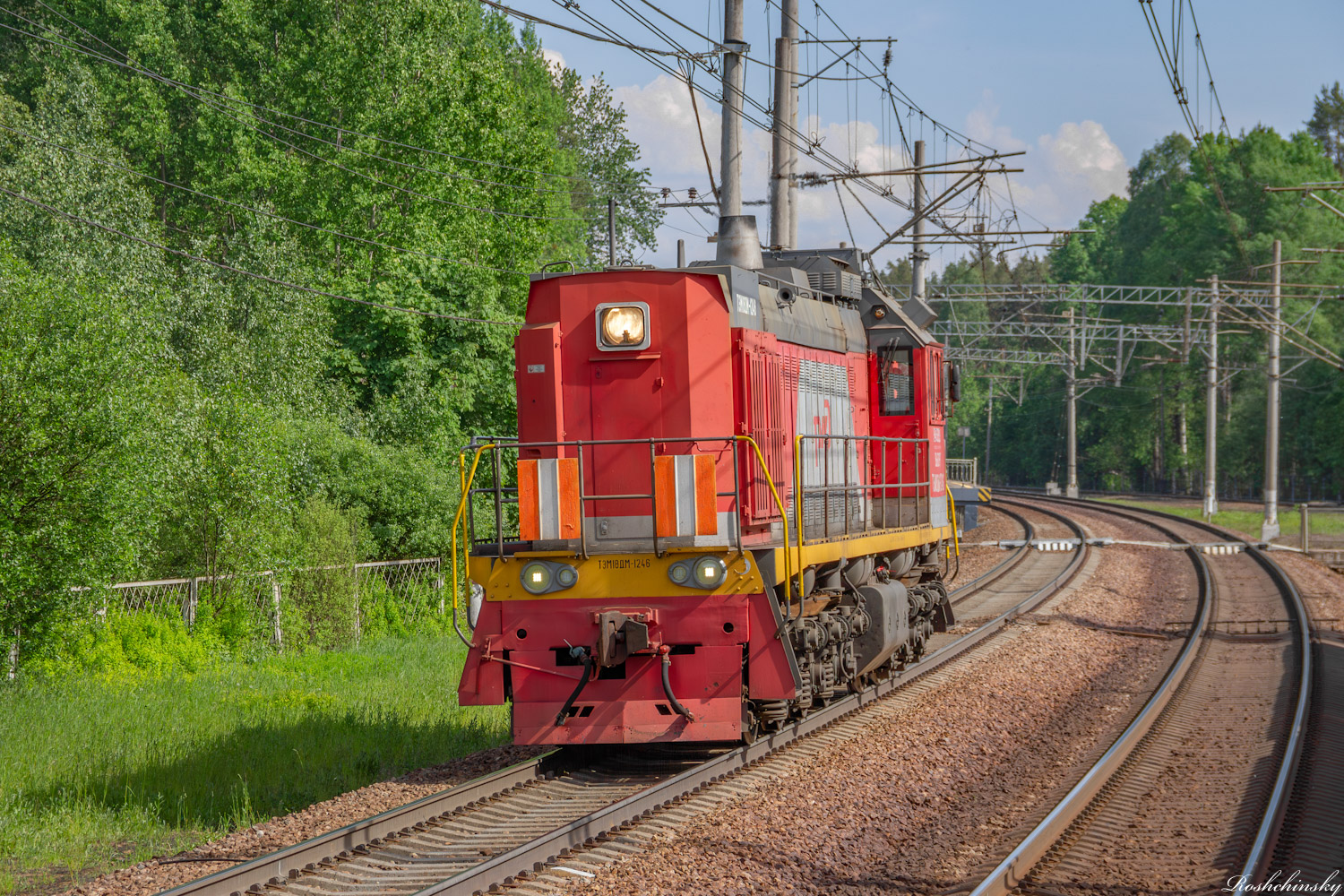 ТЭМ18ДМ-1246