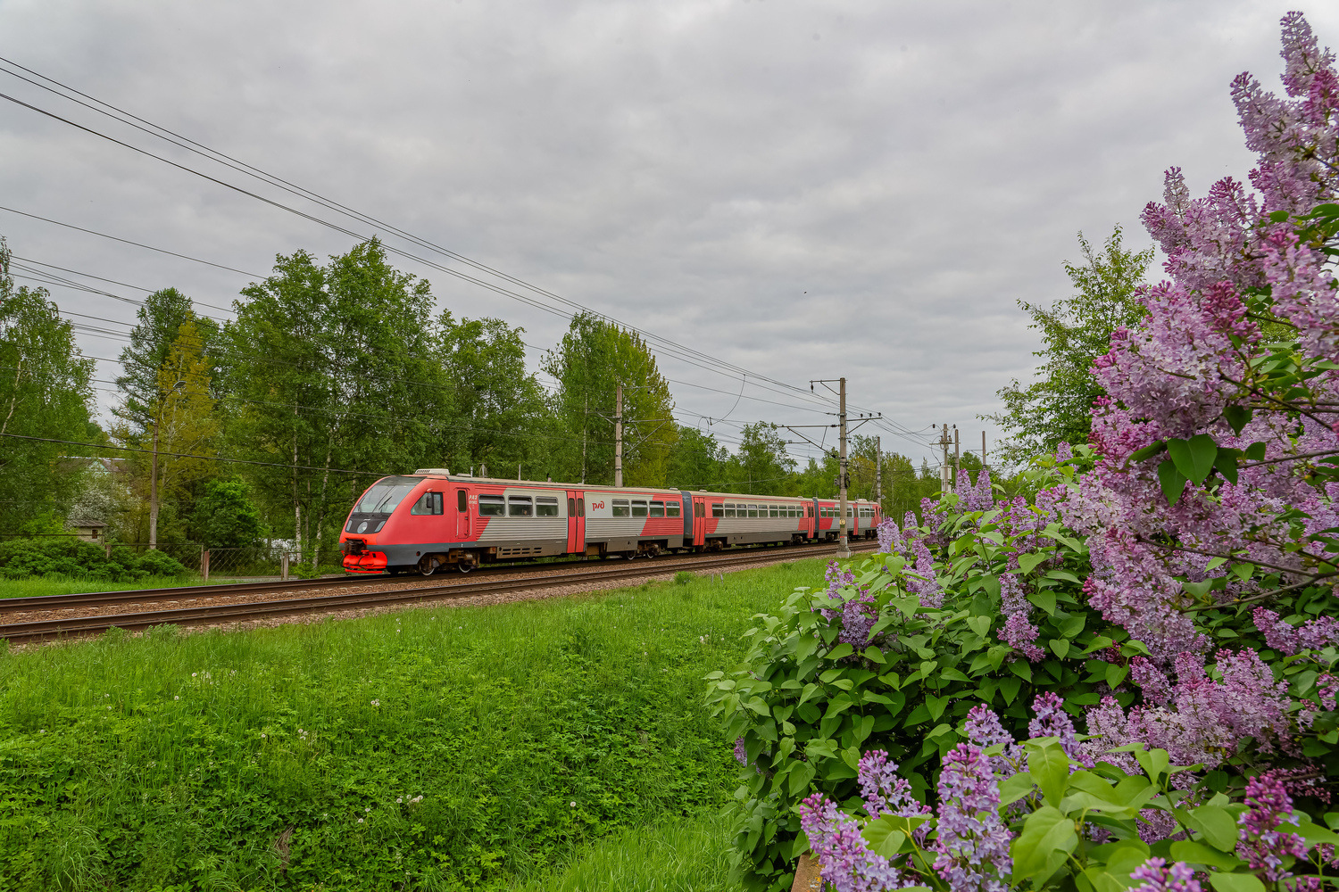 РА2-019