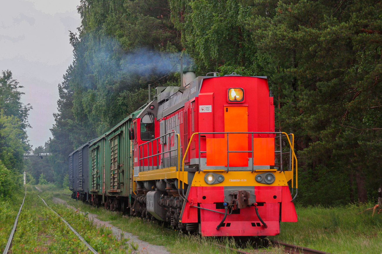 ТЭМ18ДМ-1028