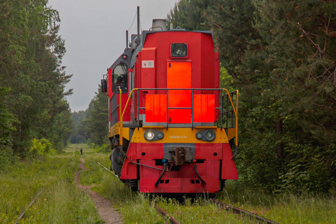 ТЭМ18ДМ-1028
