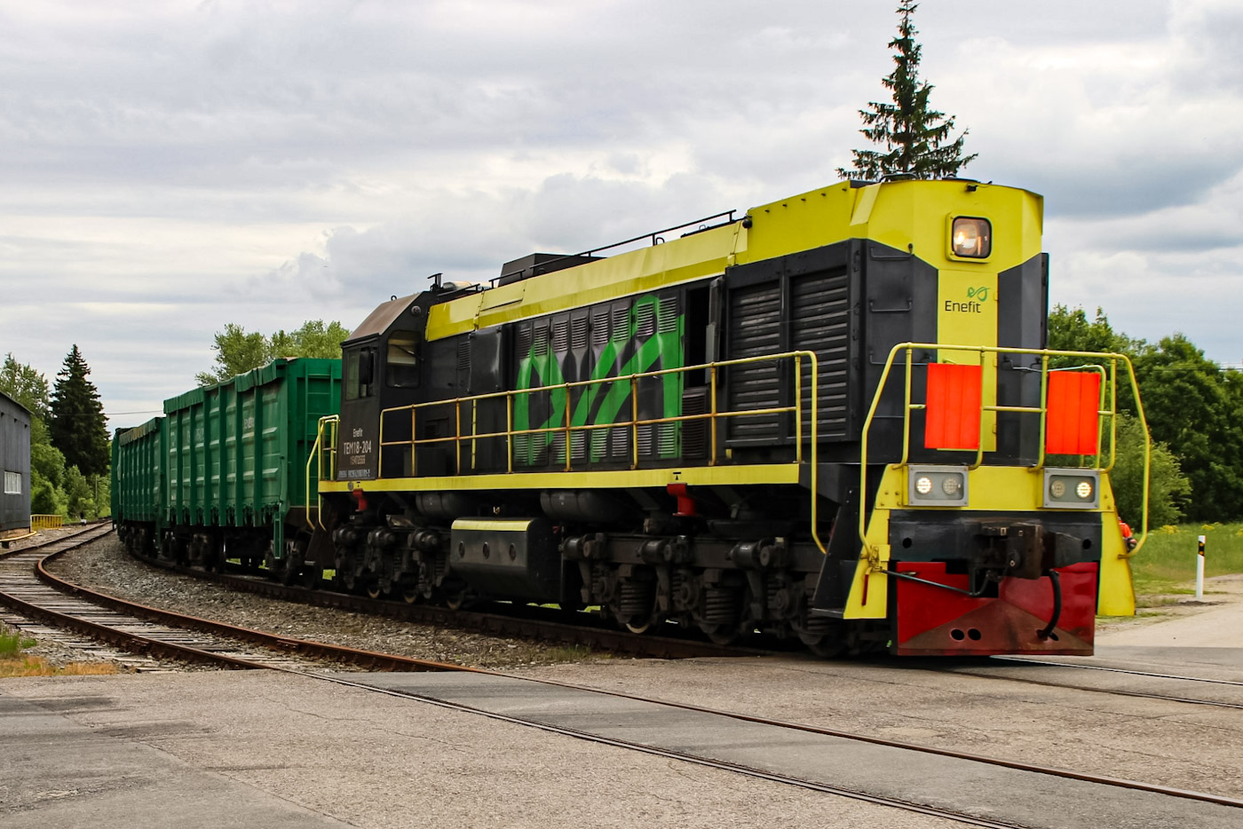 ТЭМ18-204