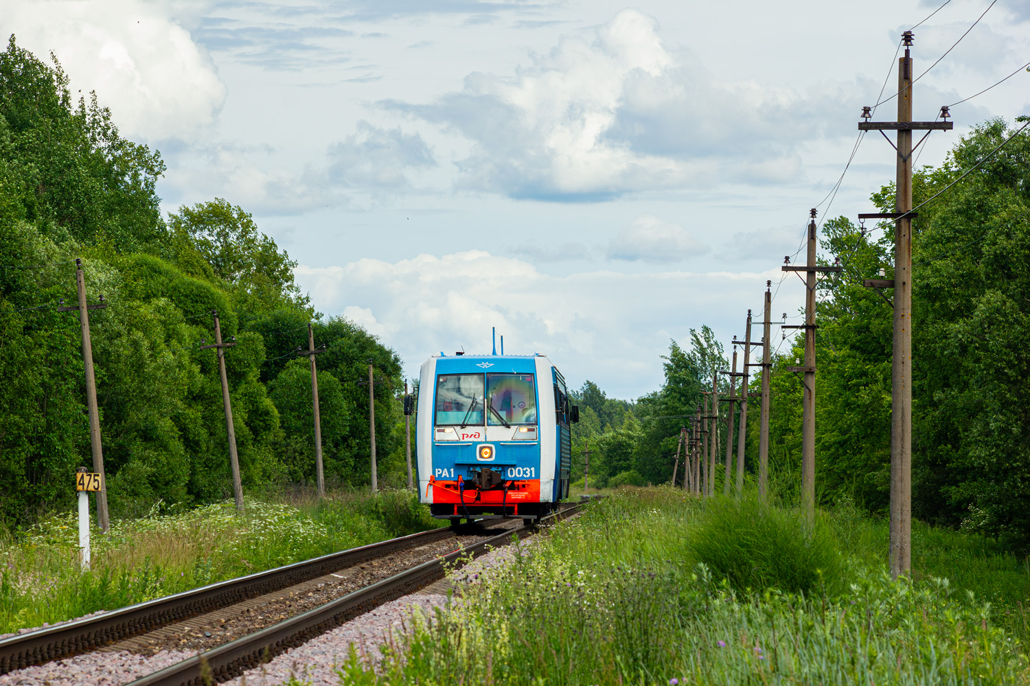 РА1-0031