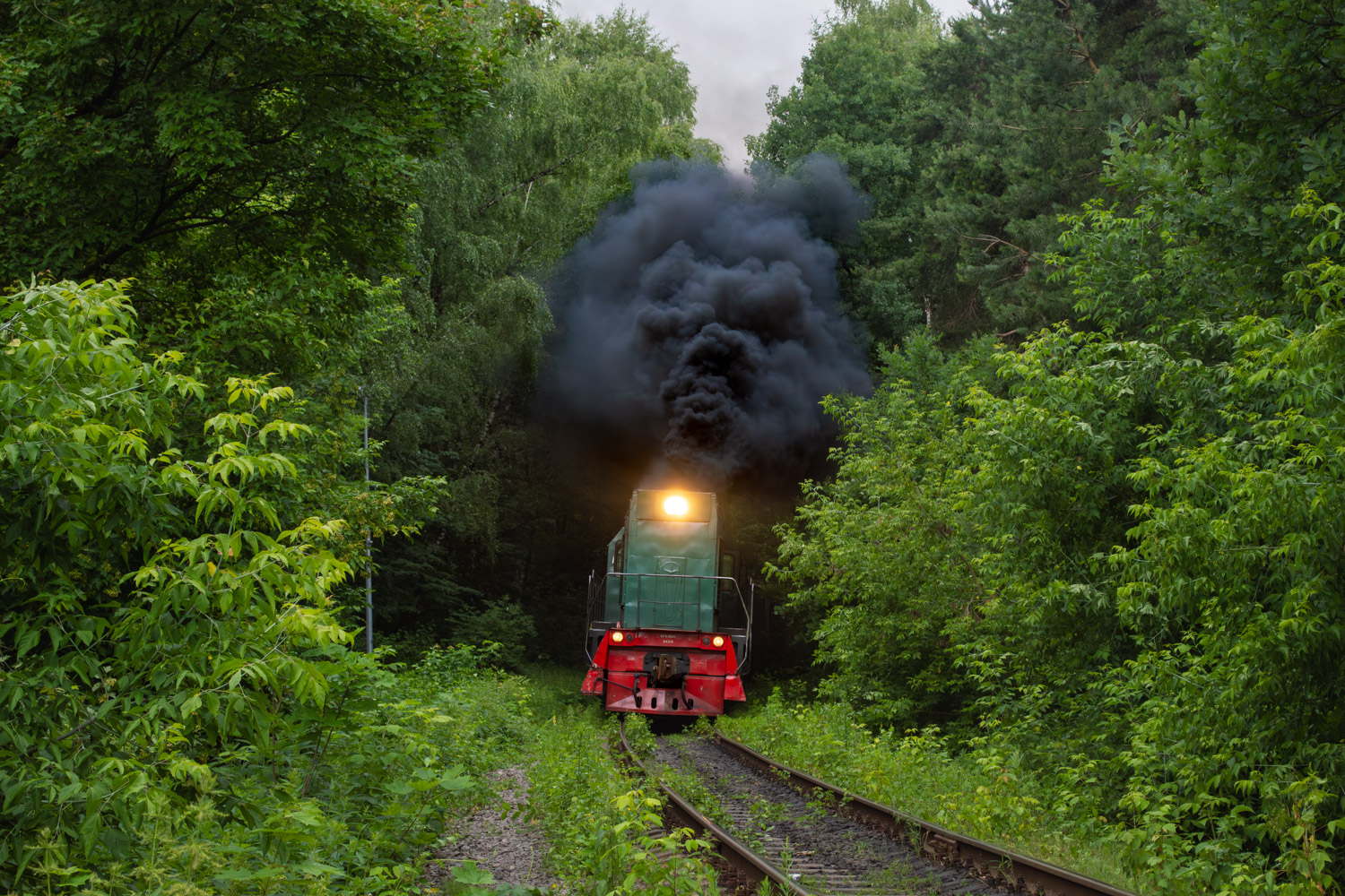ТГМ6А-1434