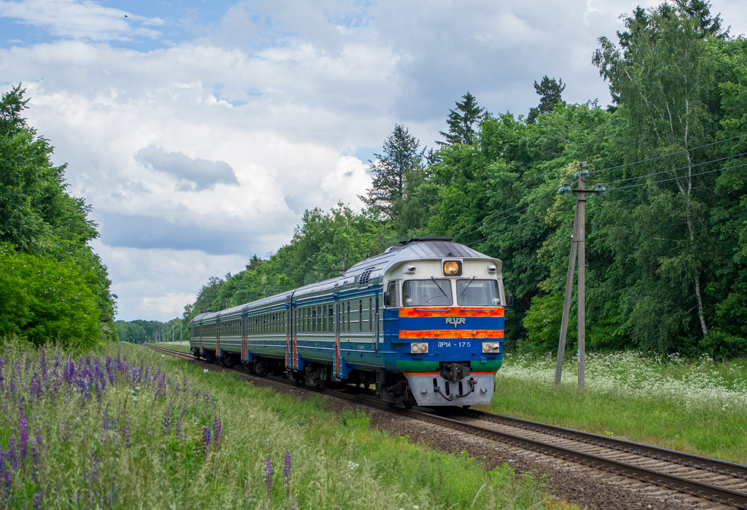 ДР1А-175