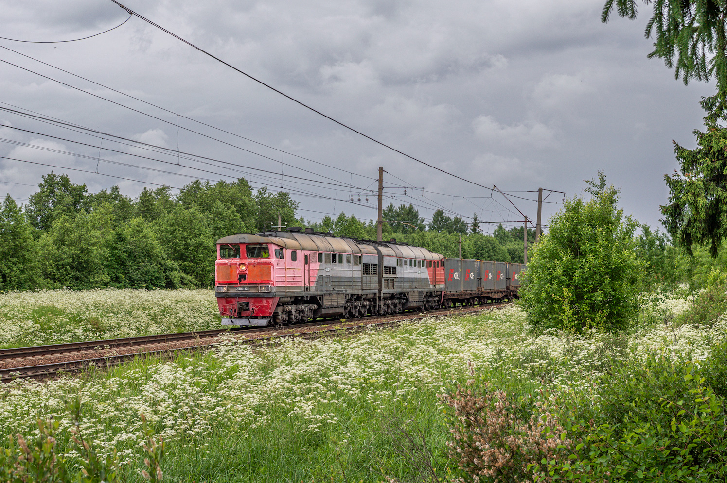 2ТЭ116-428
