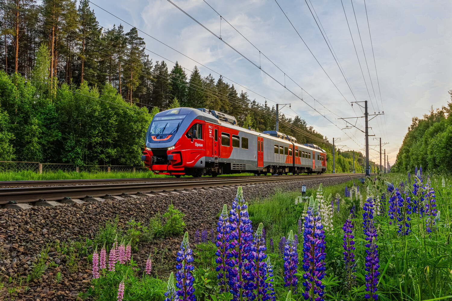 РА3-071