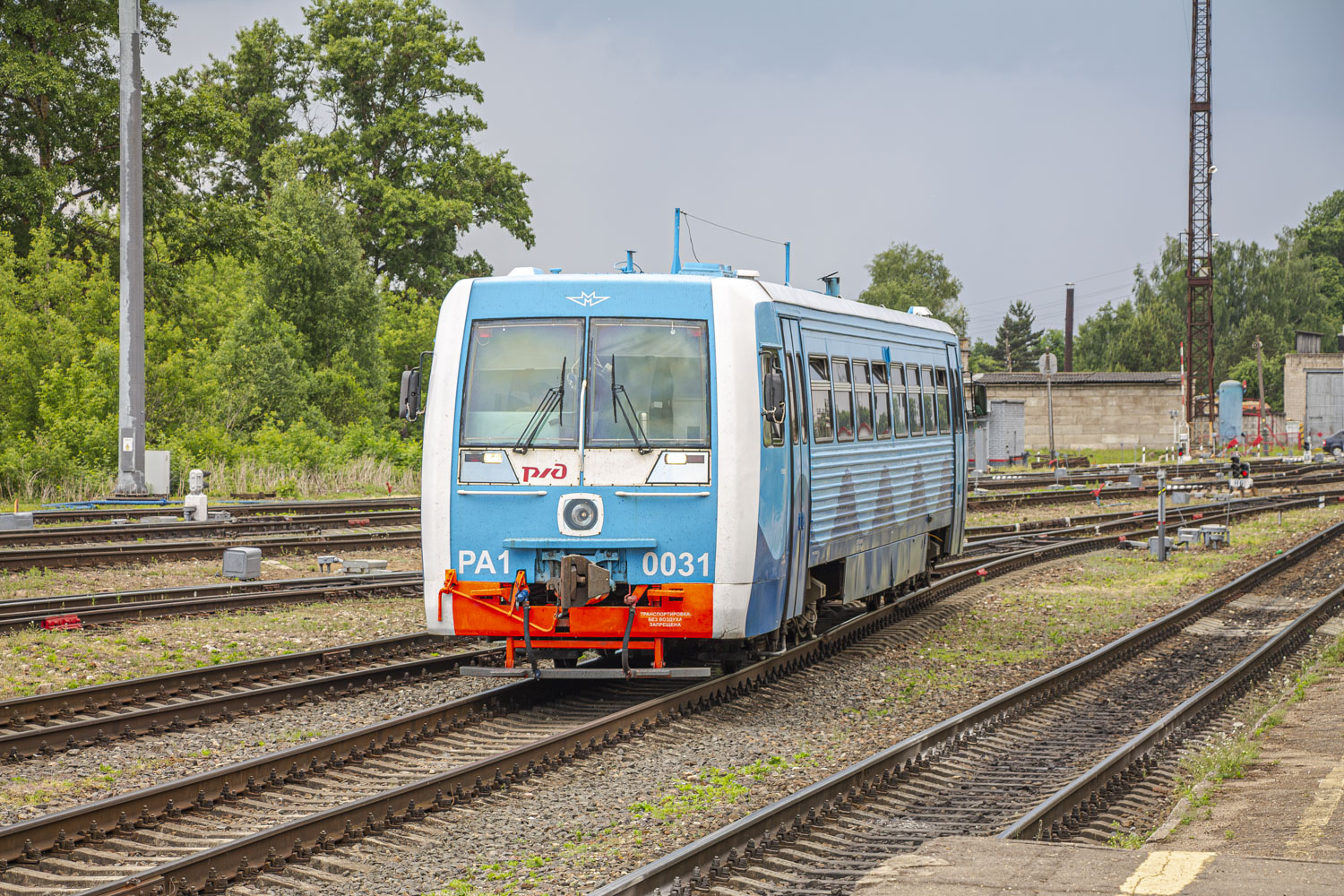 РА1-0031