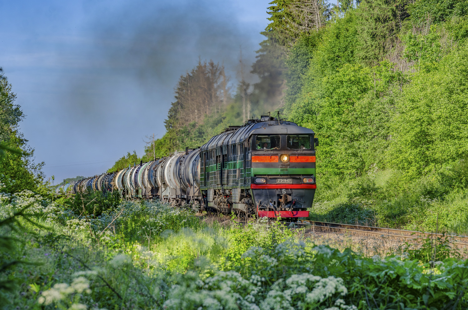 2ТЭ116-831