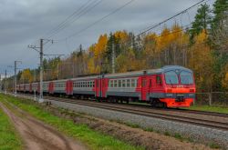 509 КБ