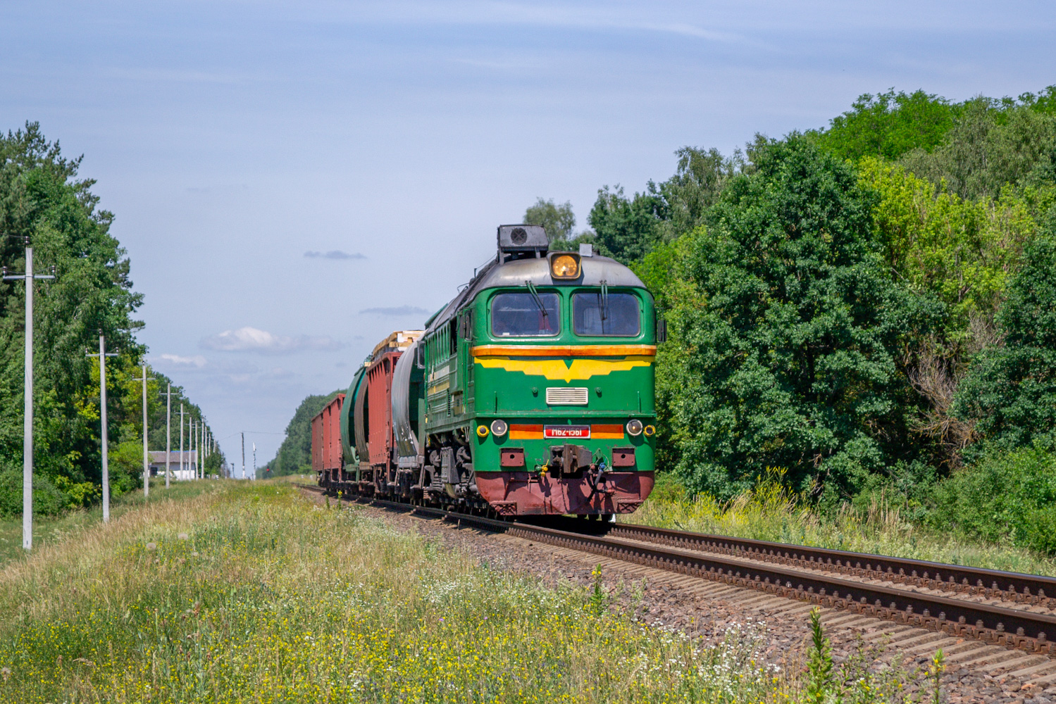 М62-1561