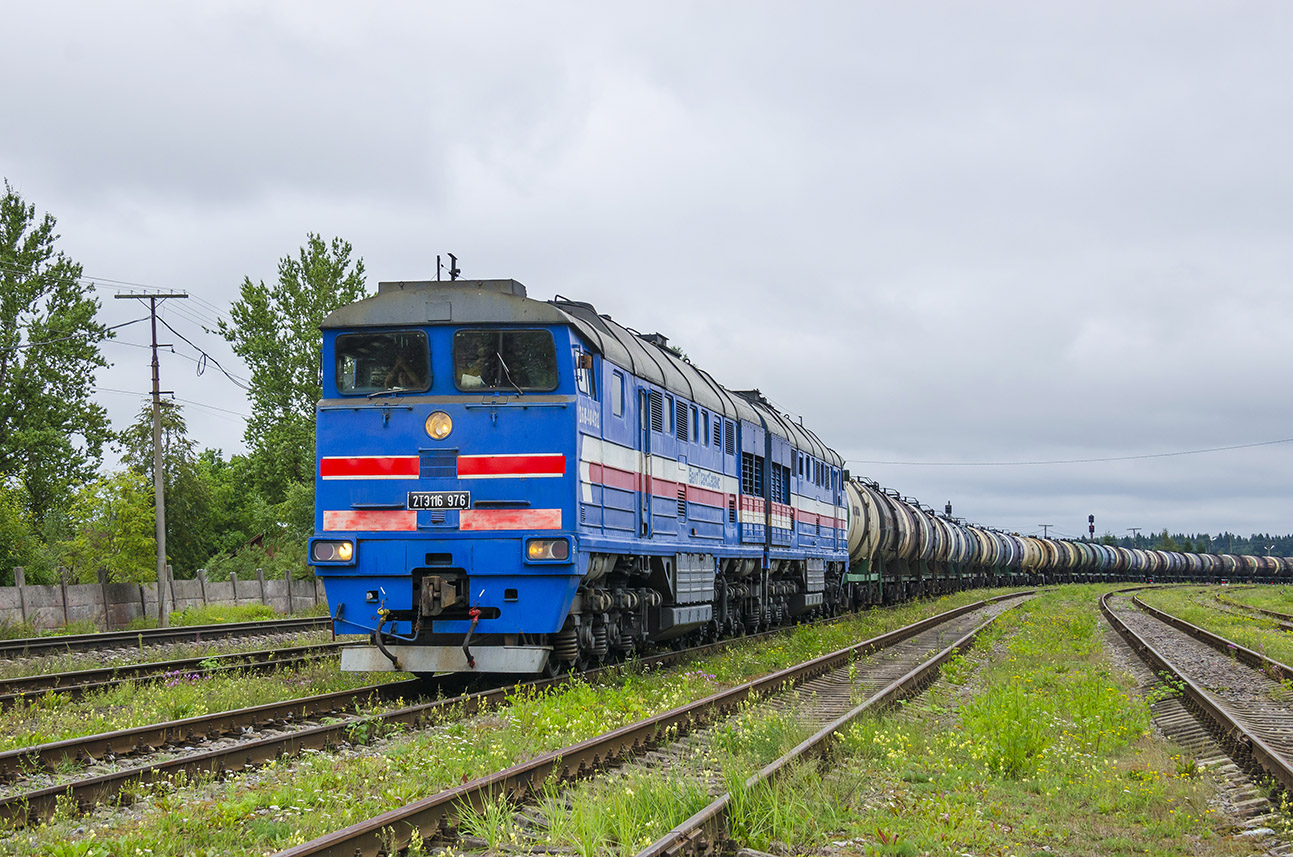 2ТЭ116-976
