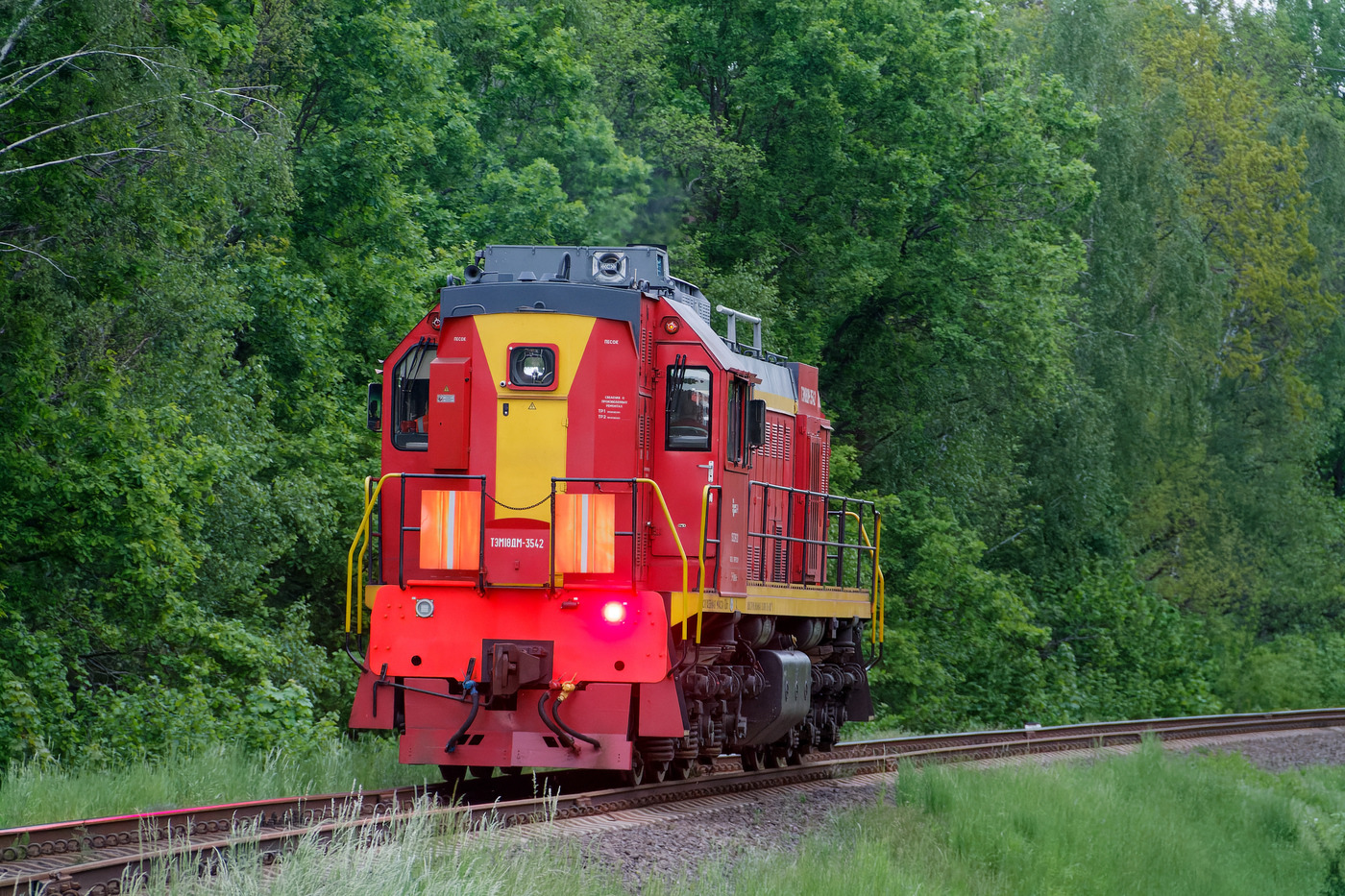 ТЭМ18ДМ-3542