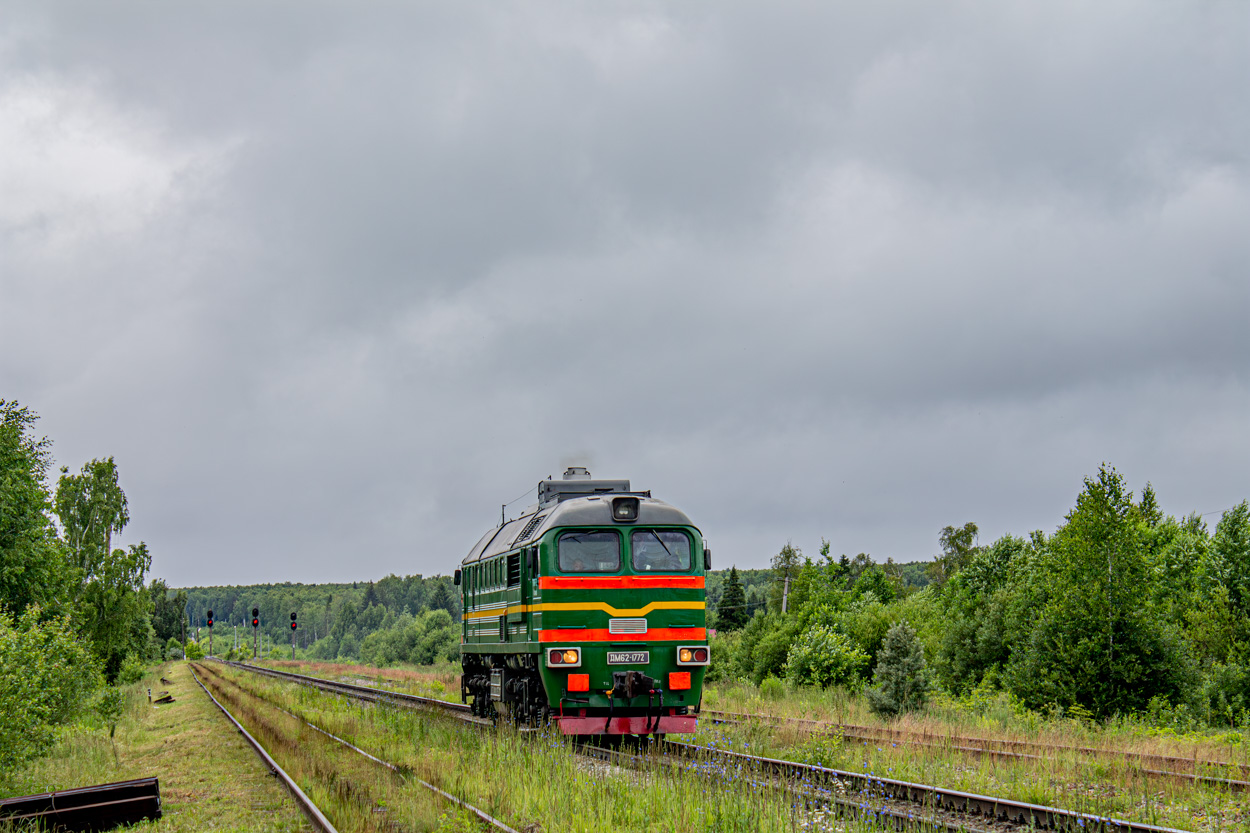 ДМ62-1772