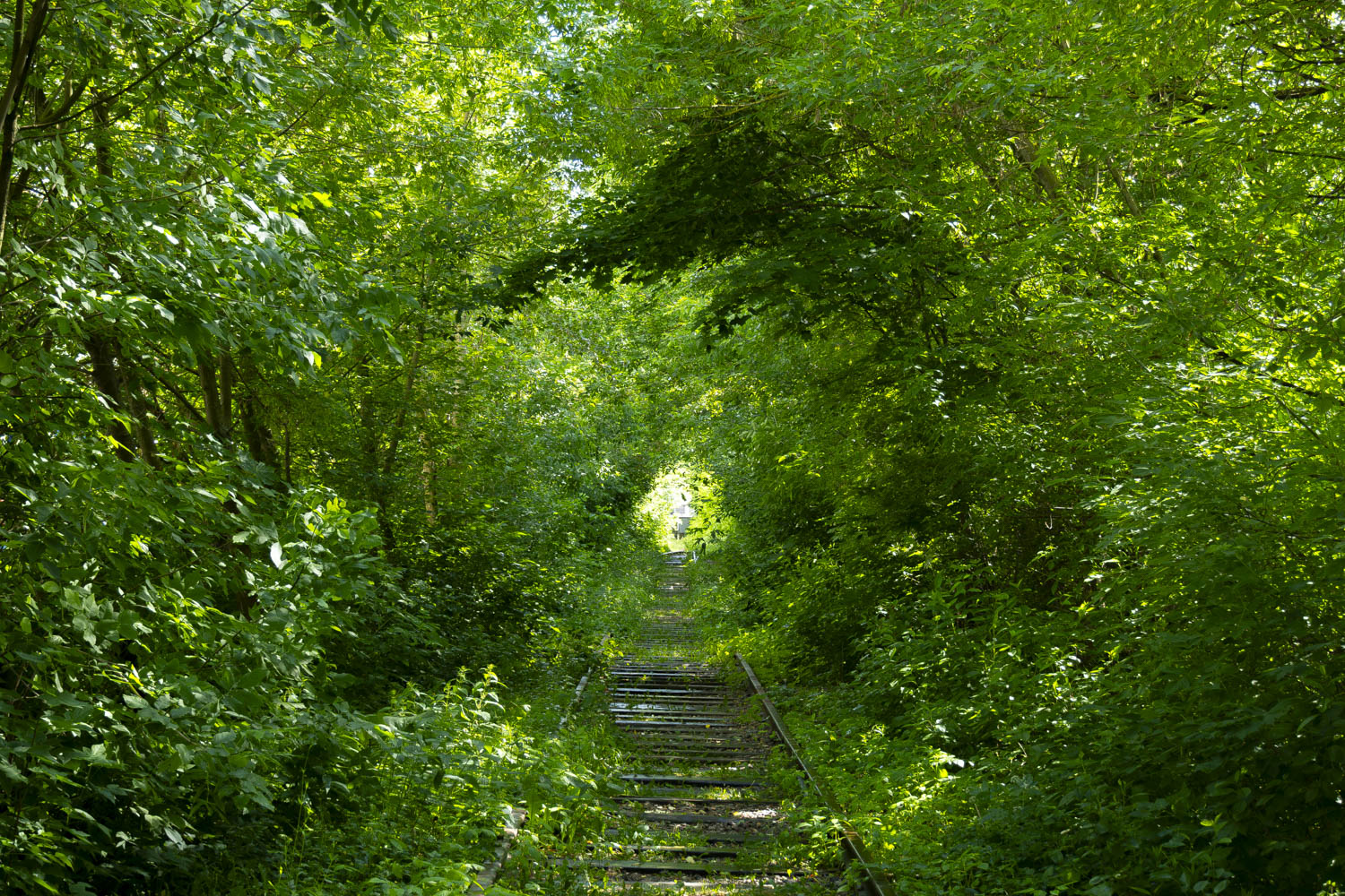 Московская железная дорога &mdash; Подъездные пути