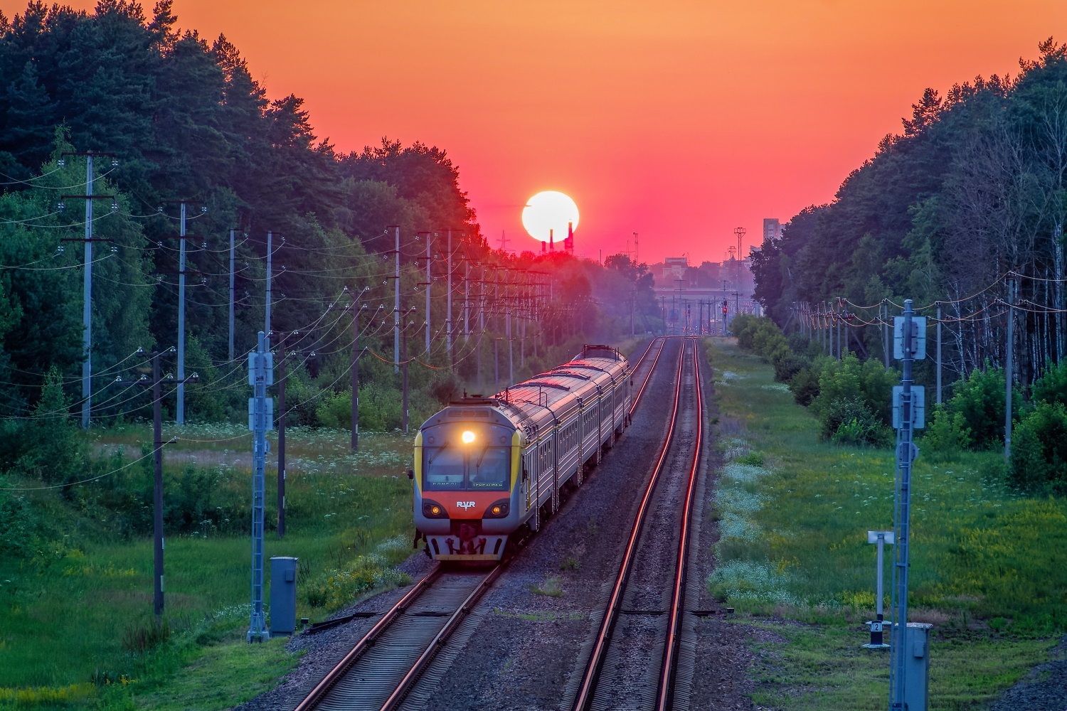 ДР1Б-501
