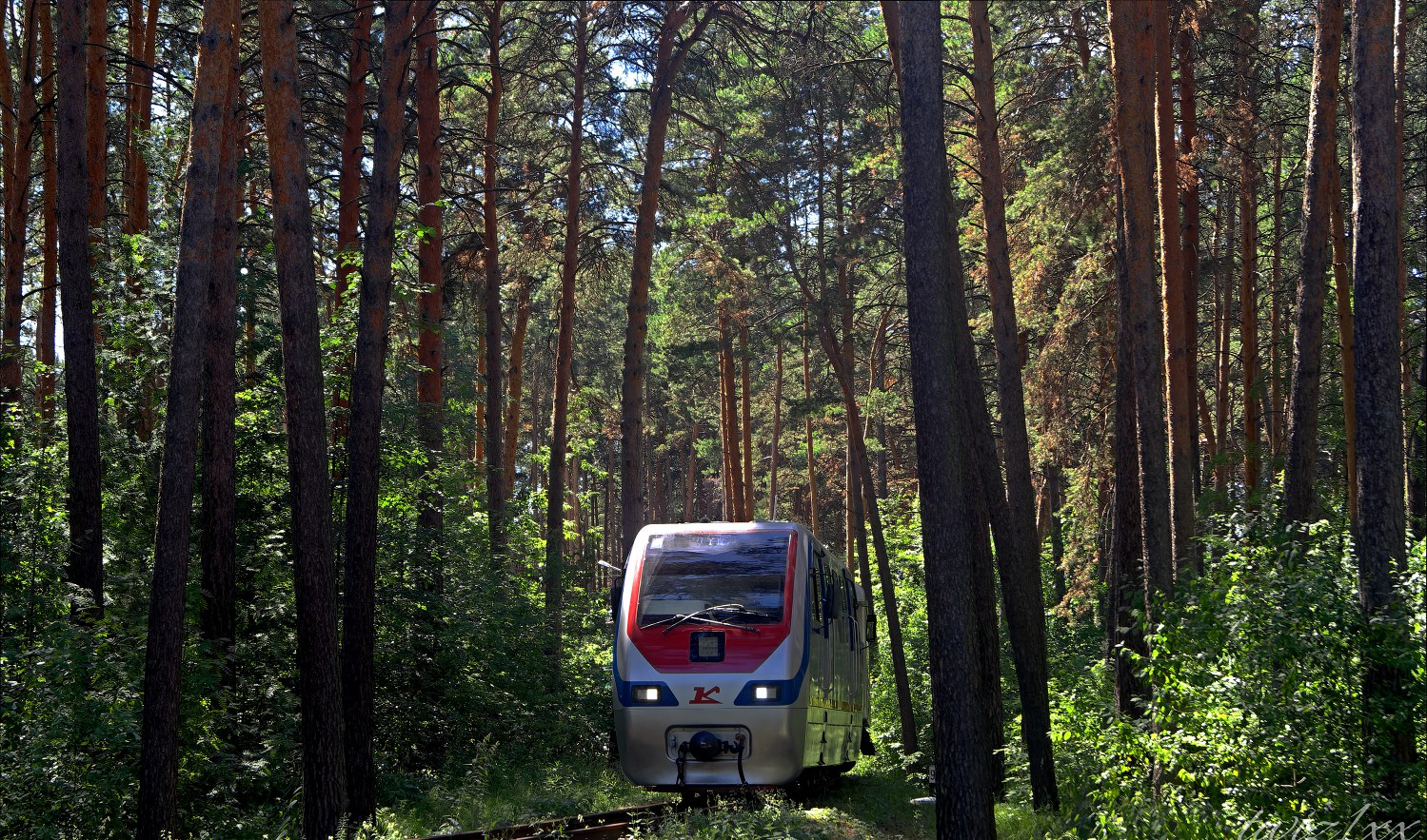 ТУ10-006; Фотозарисовки (Западно-Сибирская железная дорога)