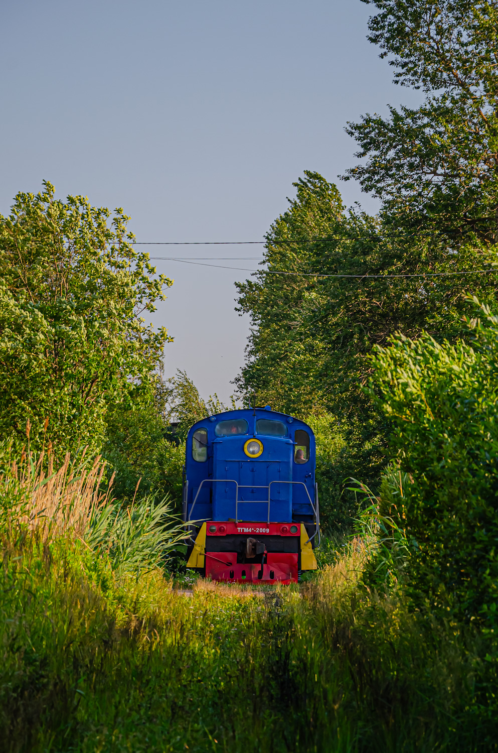 ТГМ4-2009