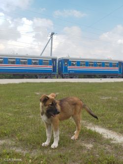 825 КБ