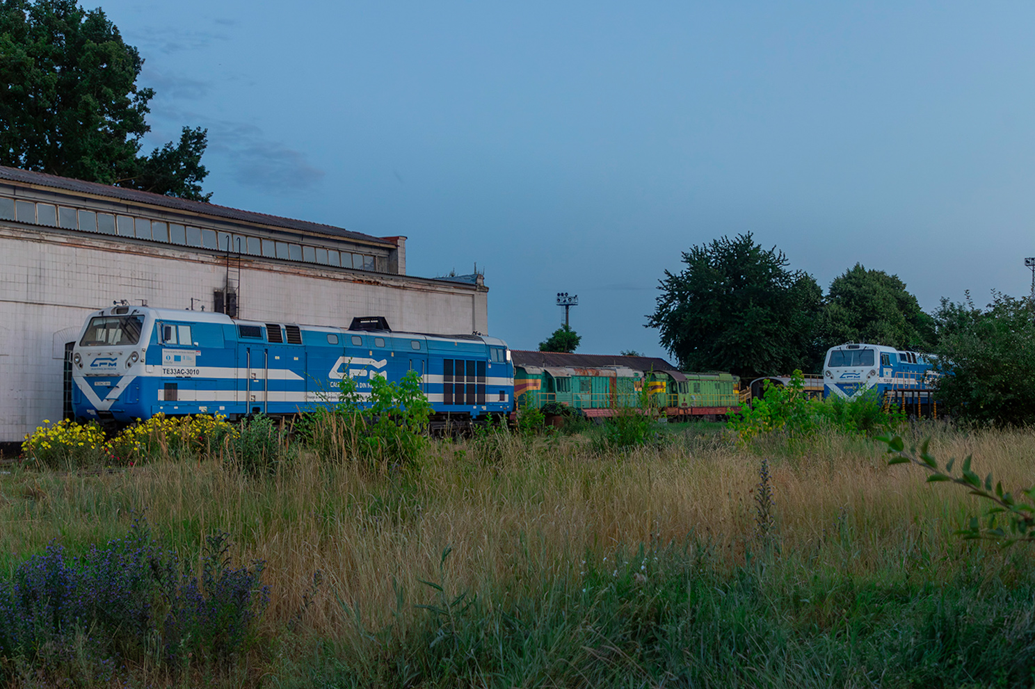ТЭ33АС-3010