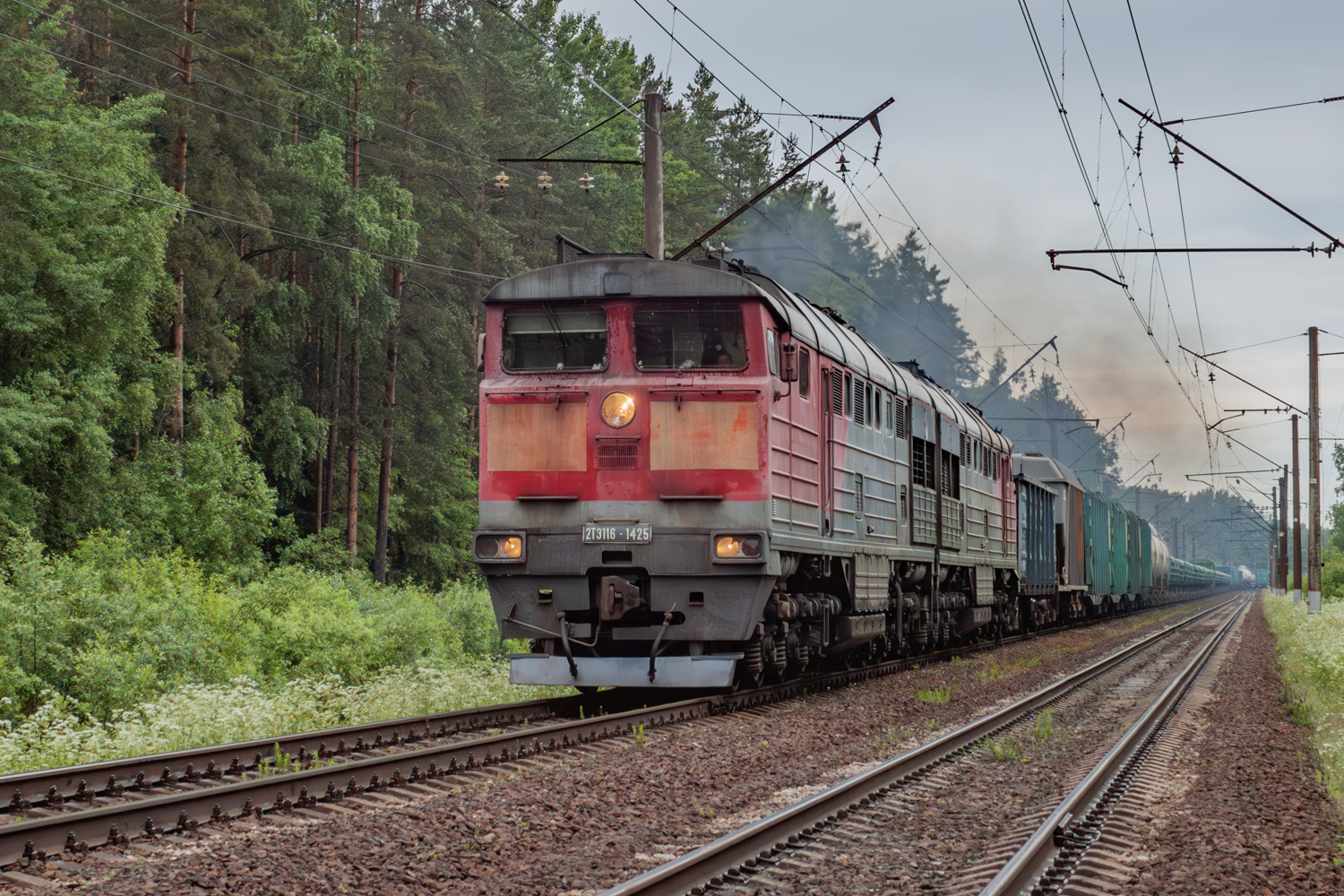 2ТЭ116-1425
