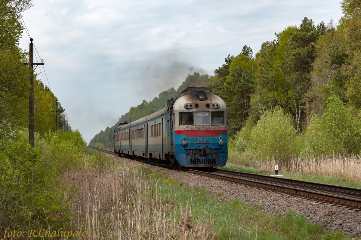 Д1-631