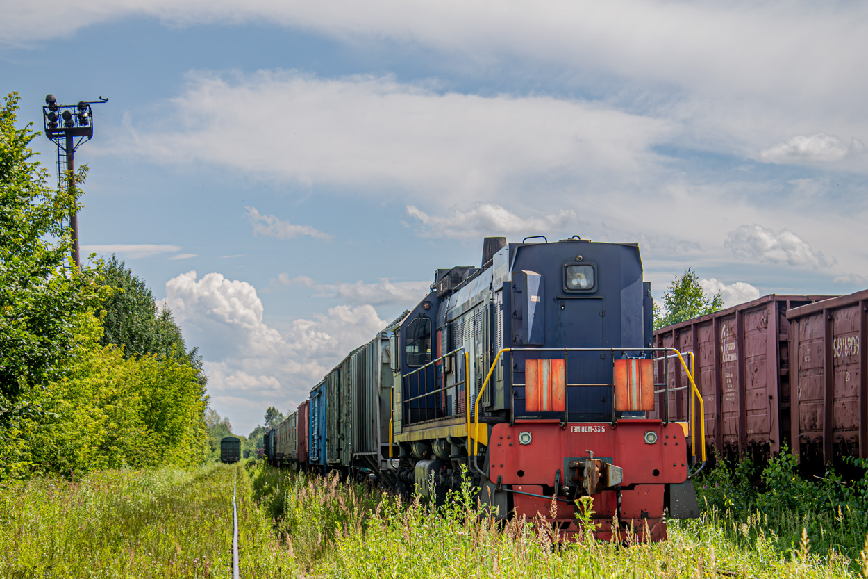 ТЭМ18ДМ-3315