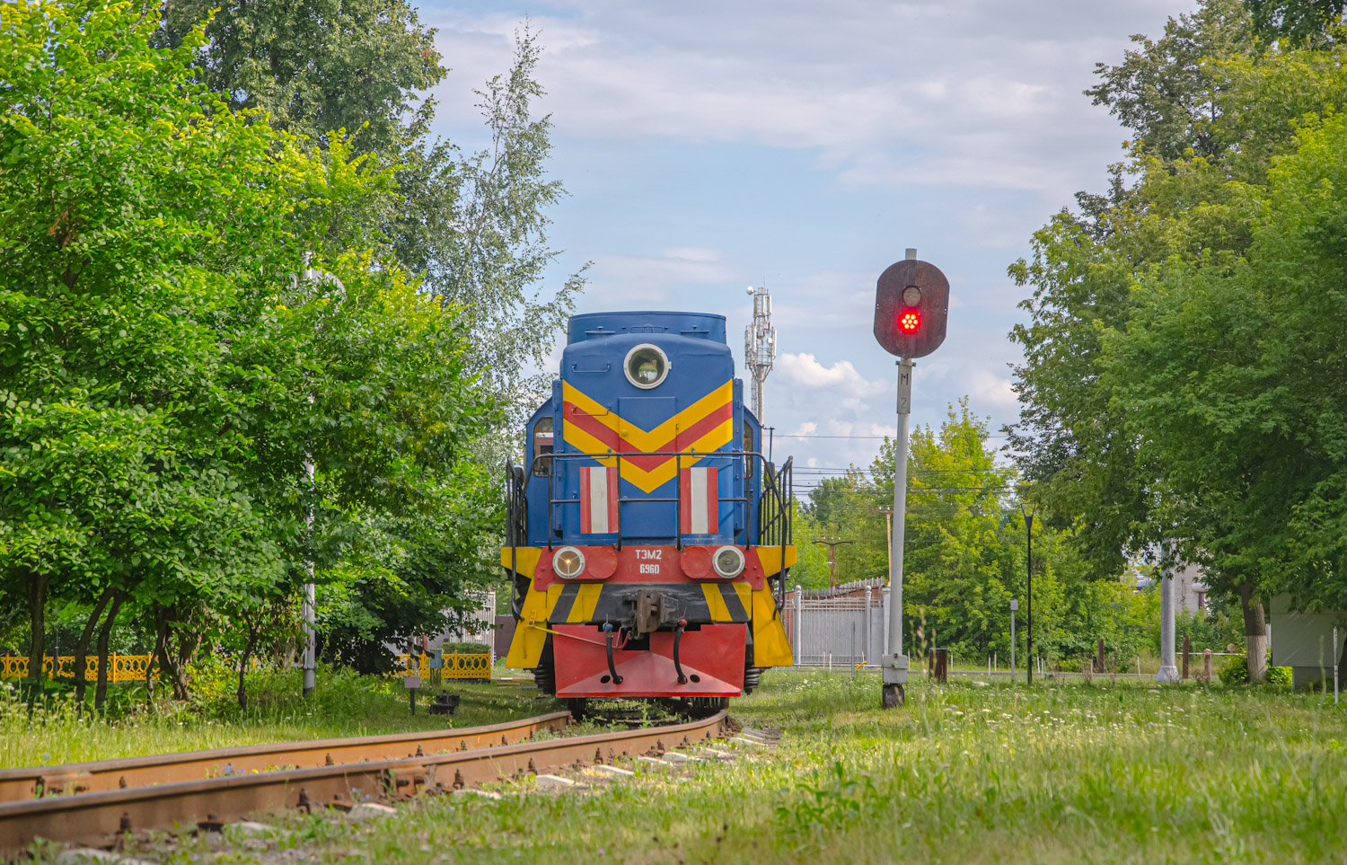 ТЭМ2-6960