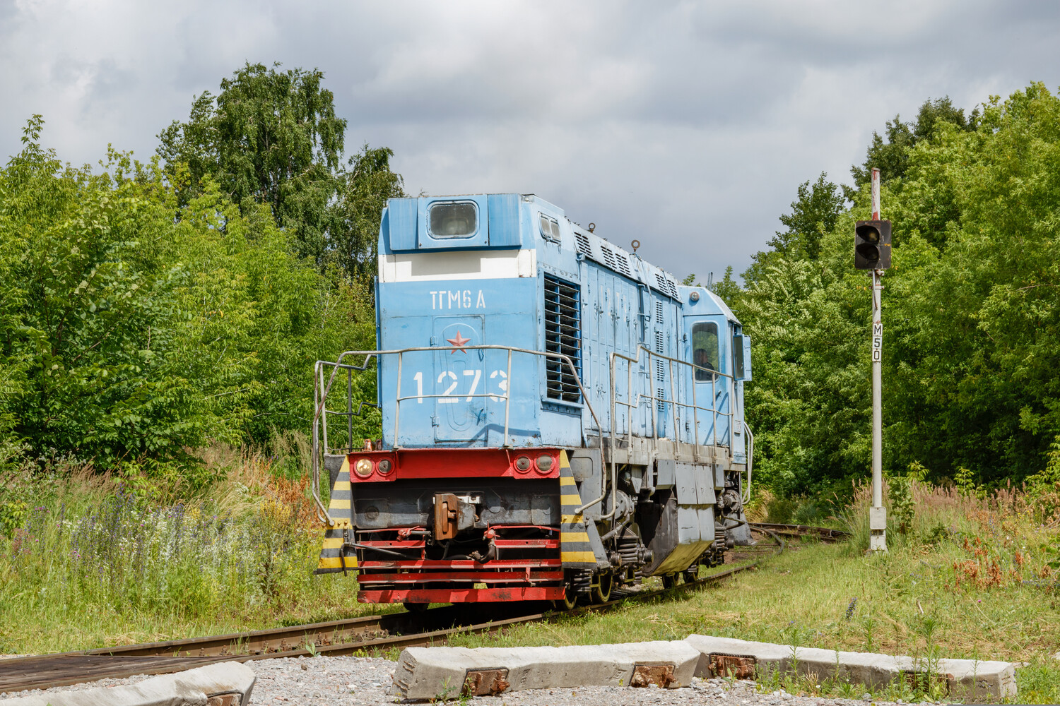 ТГМ6А-1273