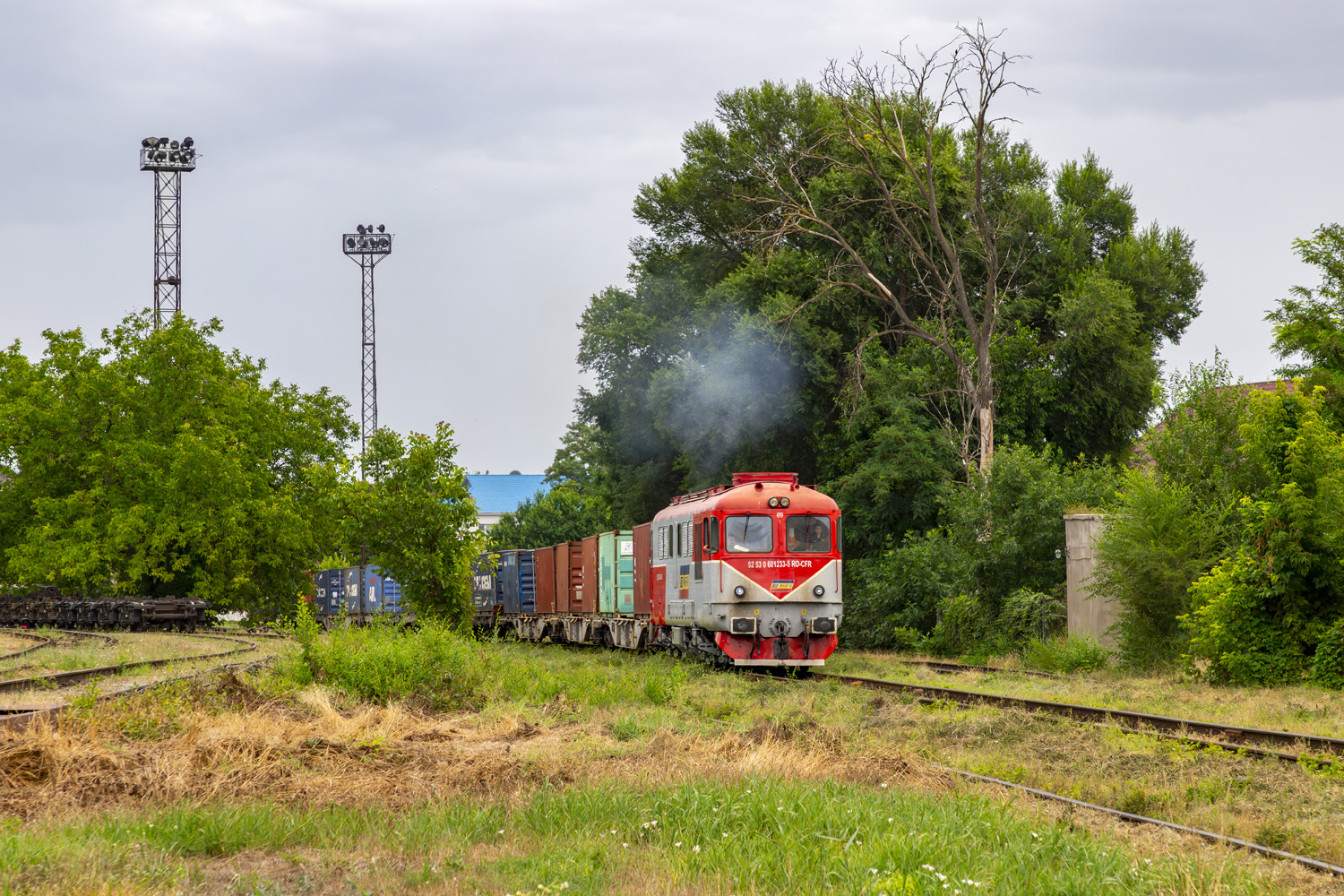 60 1233