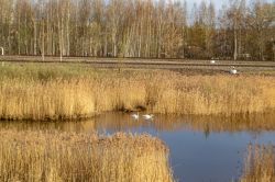 632 КБ