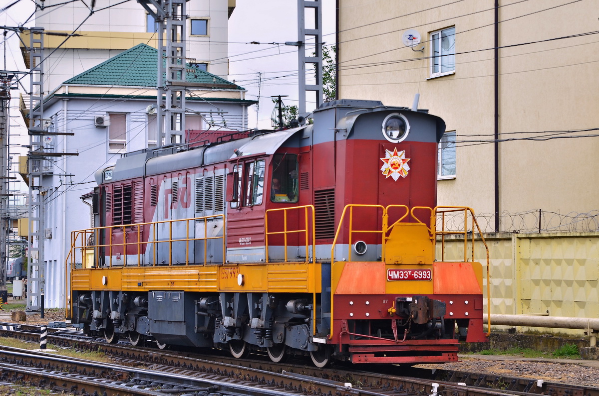 ЧМЭ3Т-6993