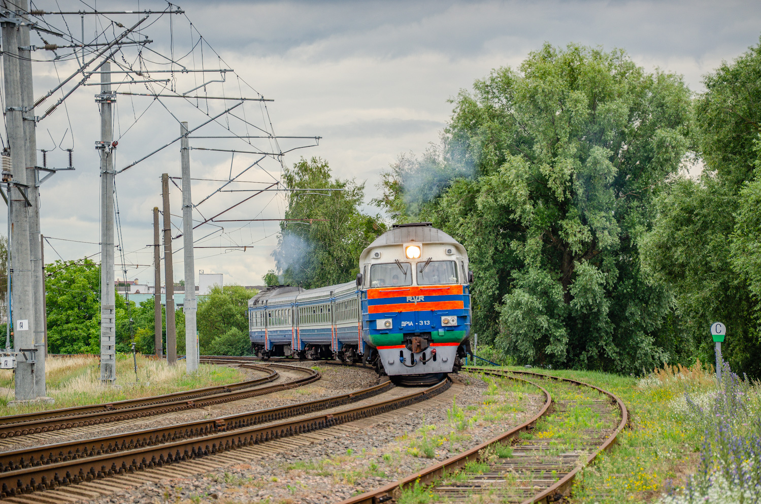 ДР1А-313