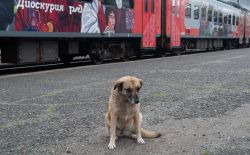 669 КБ