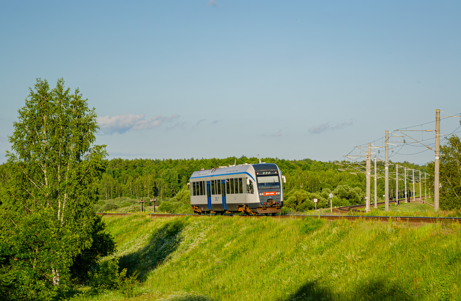 ДП1-003