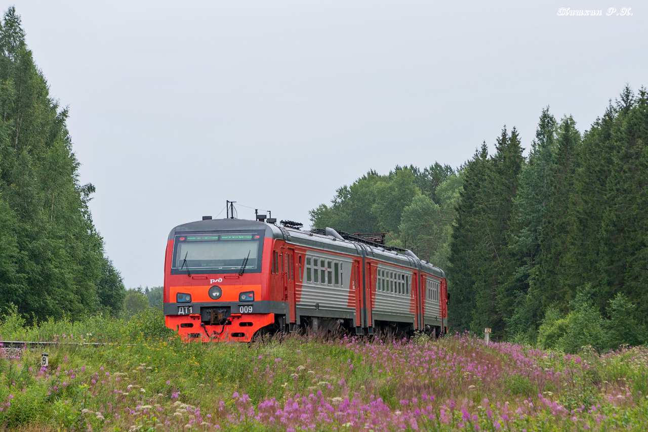 ДТ1-009