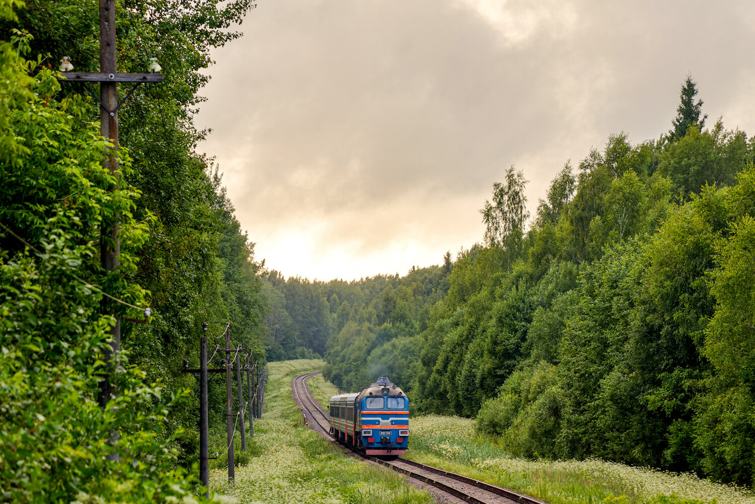 2М62-1229